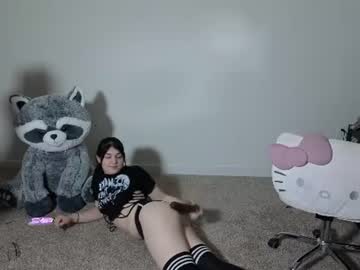 lapuppycakes