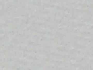 leilasaenz_