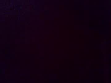 skinnykittencam