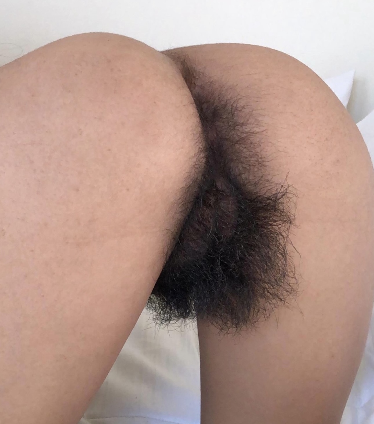 My Favorite Hairy Pussies #15 — 49